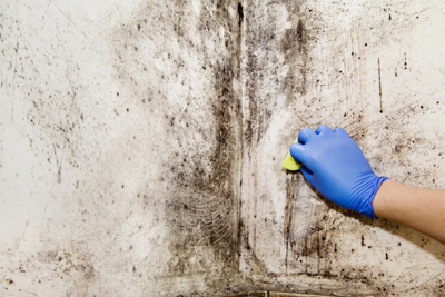 schimmel op muur weg doen